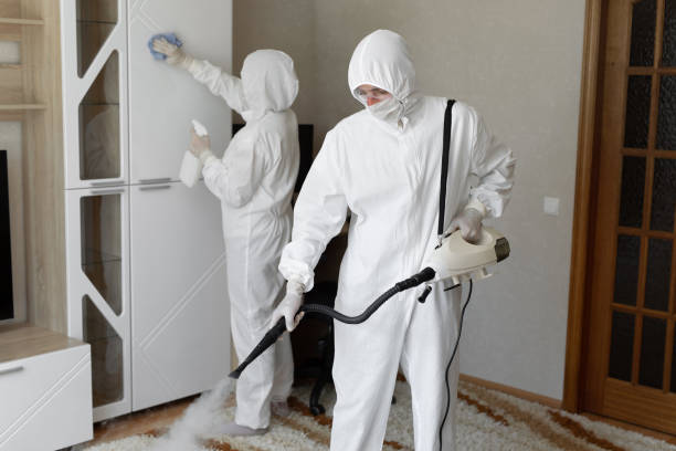 Crawl Space Mold Removal in Jurupa Valley, CA