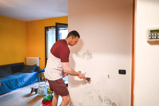 Best Residential Mold Removal  in Jurupa Valley, CA